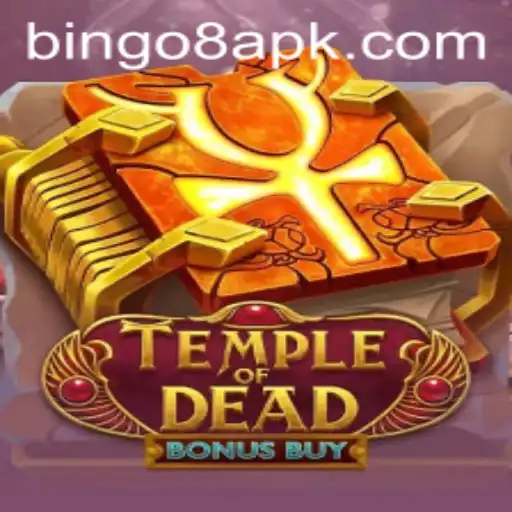 Bingo8 Poker Games